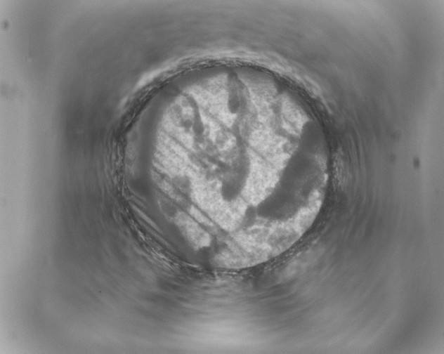 X0000088201494200706051218