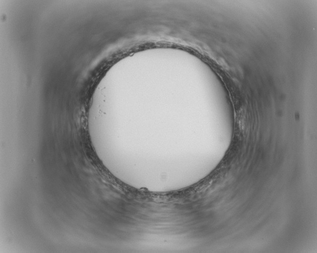 X0000088201495200706051218