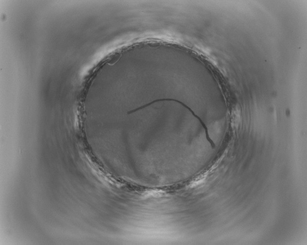 X0000088201496200706051218