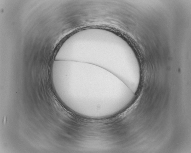 X0000088201497200706051218