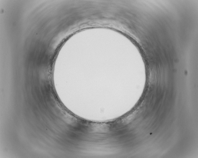 X0000088201498200706051218