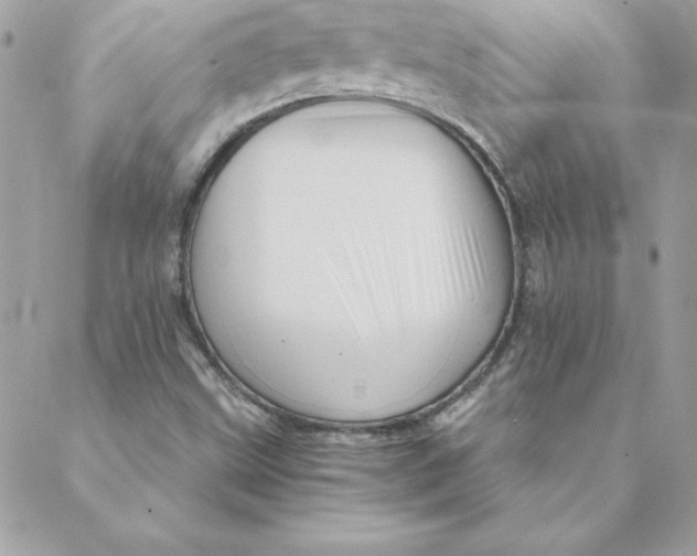 X0000088201499200706051218