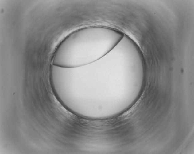 X0000088201500200706051218