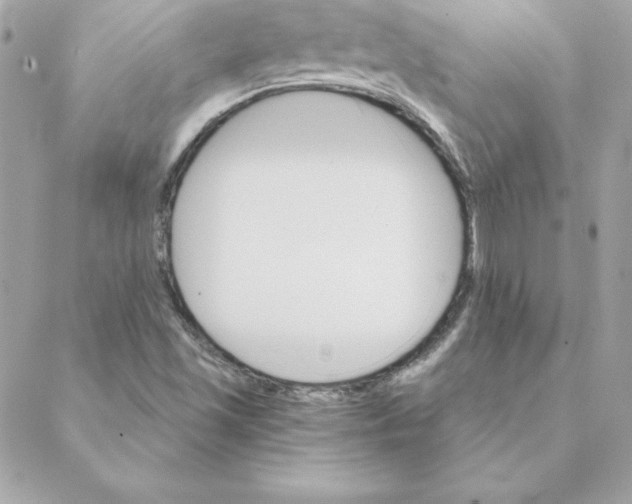 X0000088201501200706051219