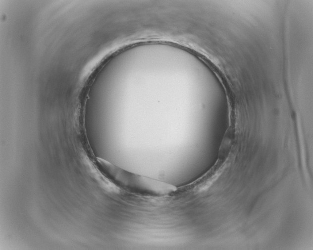 X0000088201502200706051219