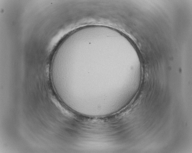 X0000088201503200706051219