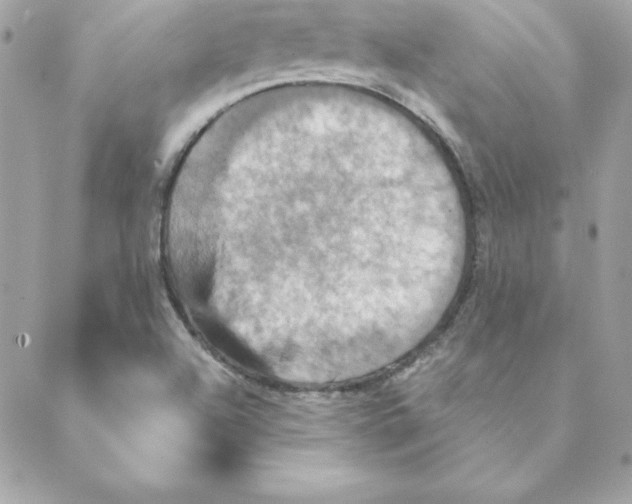 X0000088201504200706051219