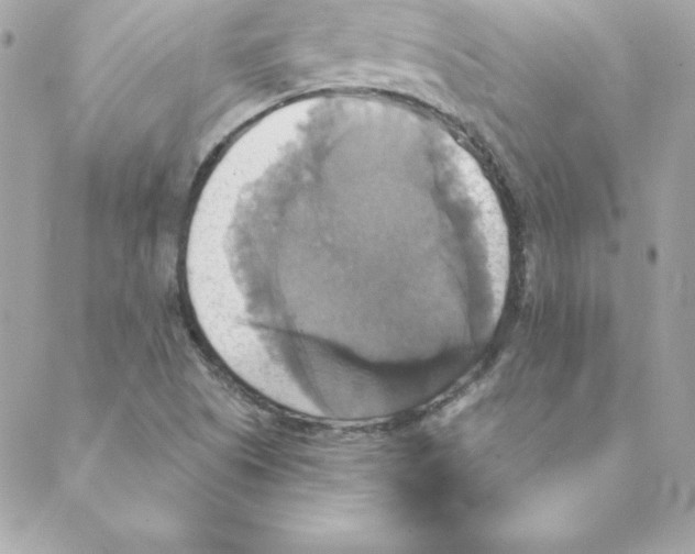 X0000088201505200706051219