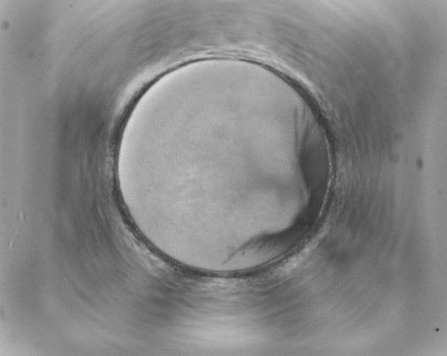 X0000088201506200706051219