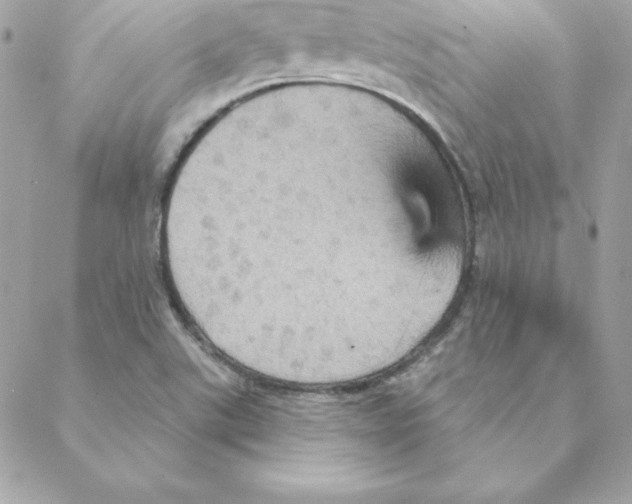 X0000088201507200706051219