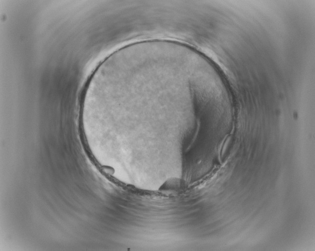 X0000088201508200706051219