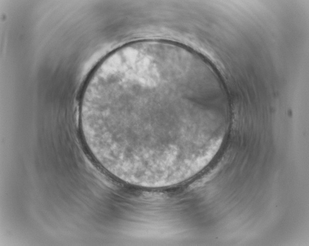 X0000088201509200706051219