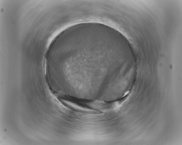 X0000088201510200706051219