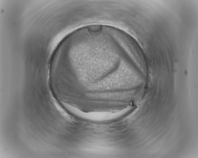 X0000088201511200706051219