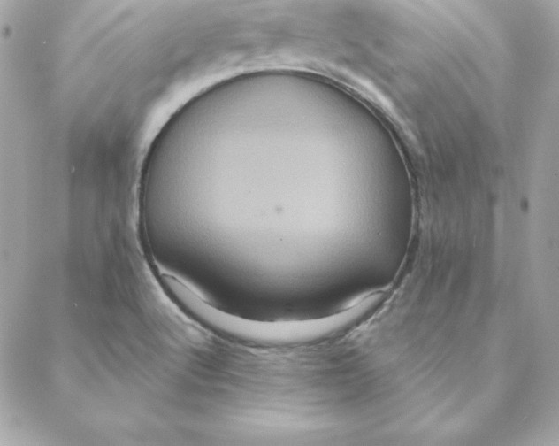 X0000088201512200706051219