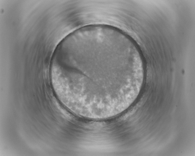 X0000088201513200706051219