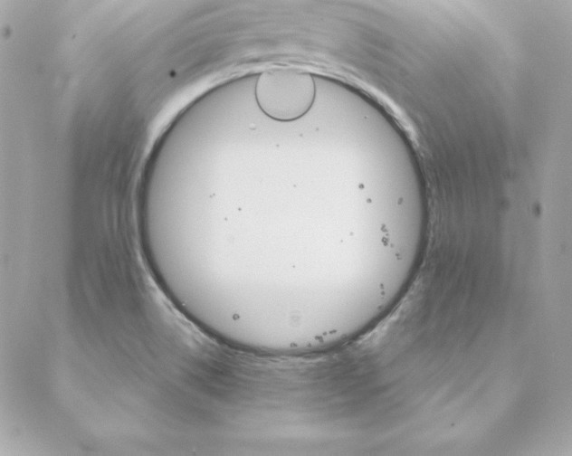 X0000088201514200706051219