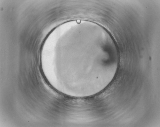 X0000088201515200706051219