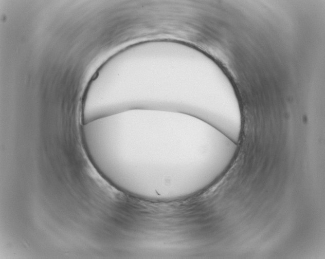 X0000088201516200706051219