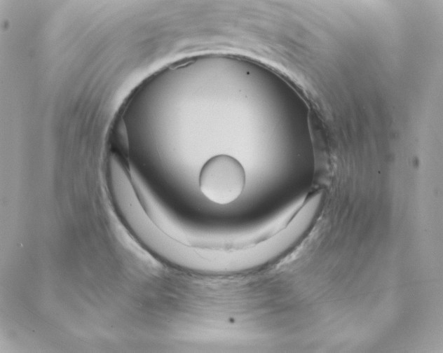 X0000088201518200706051219