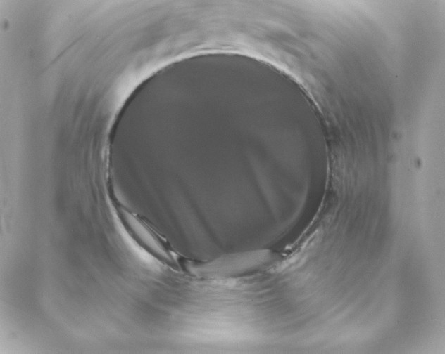 X0000088201519200706051219