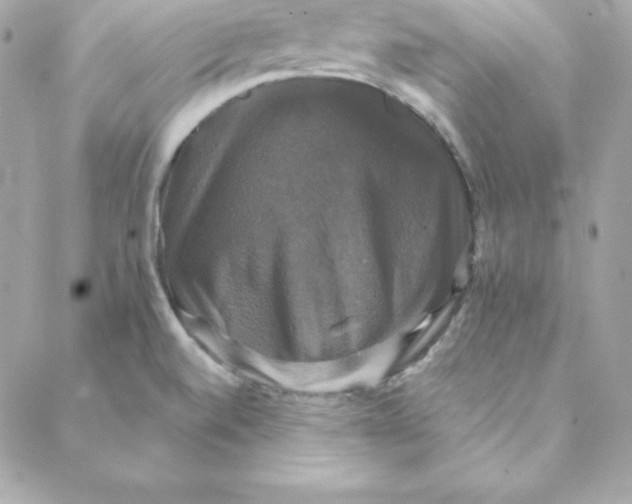 X0000088201520200706051219