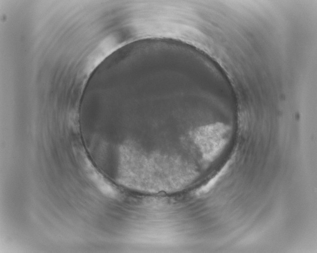 X0000088201521200706051219