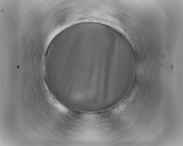 X0000088201522200706051219