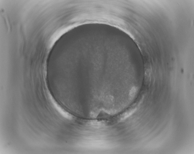 X0000088201523200706051219