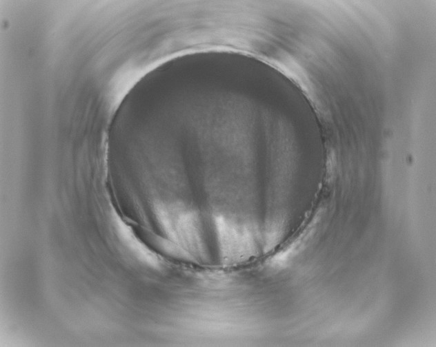 X0000088201524200706051219