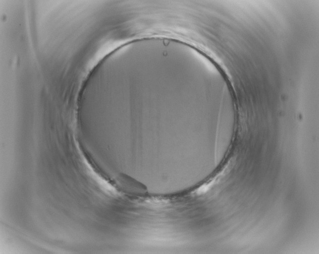 X0000088201525200706051219