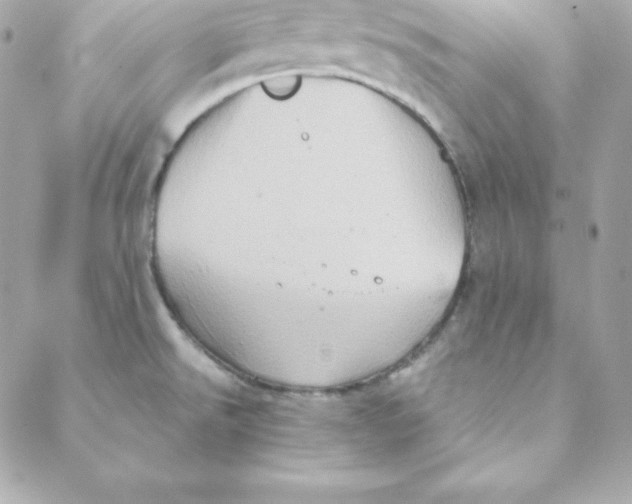 X0000088201526200706051219