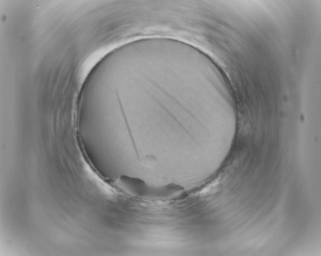 X0000088201527200706051219