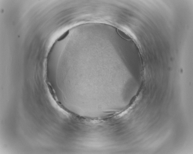 X0000088201528200706051219