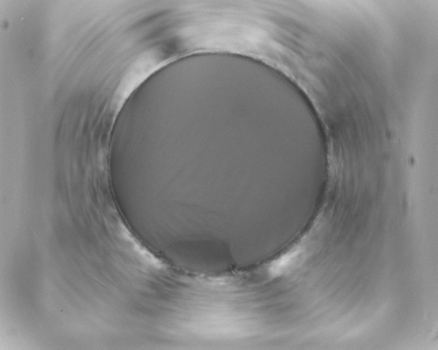 X0000088201529200706051219