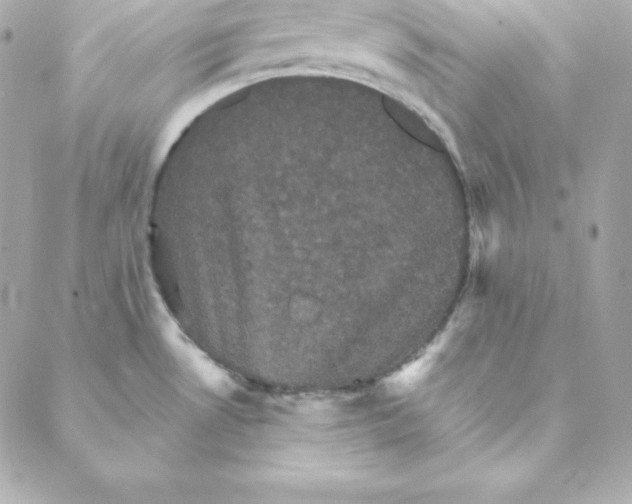 X0000088201530200706051219