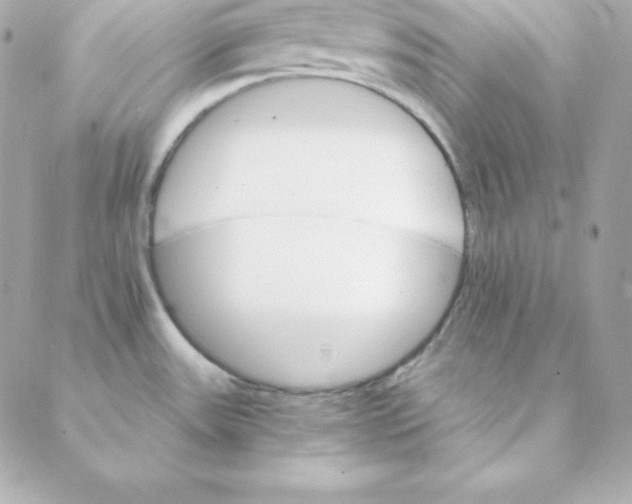 X0000088201531200706051219