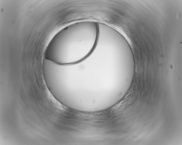 X0000088201532200706051219