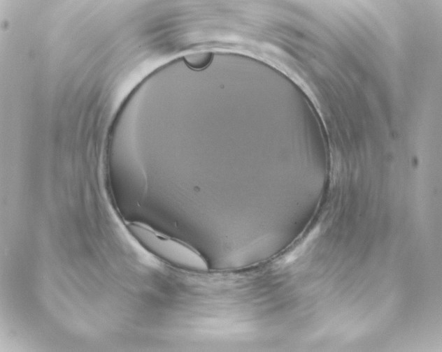 X0000088201533200706051219