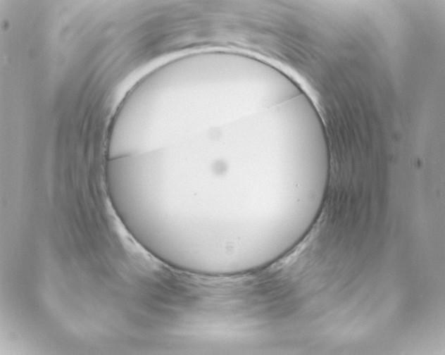 X0000088201534200706051219