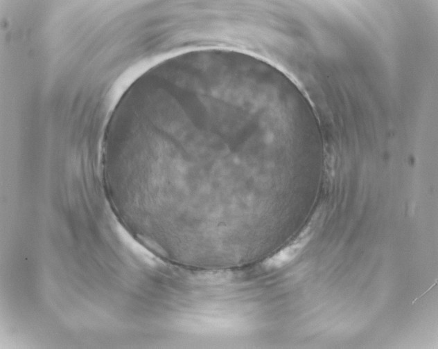 X0000088201535200706051219