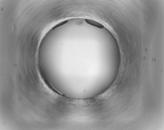 X0000088201536200706051219