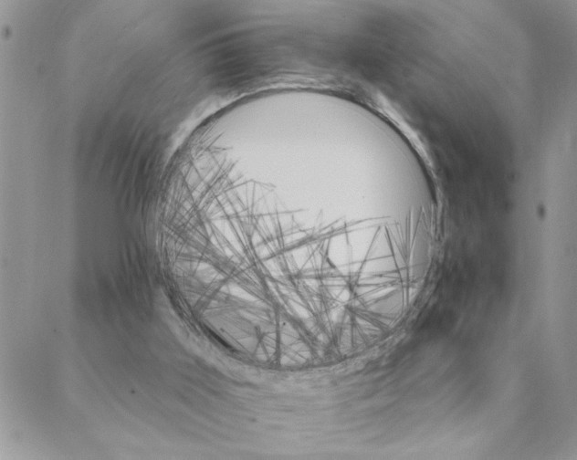 X0000088200011200706121752