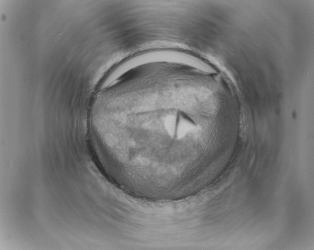 X0000088200015200706121752