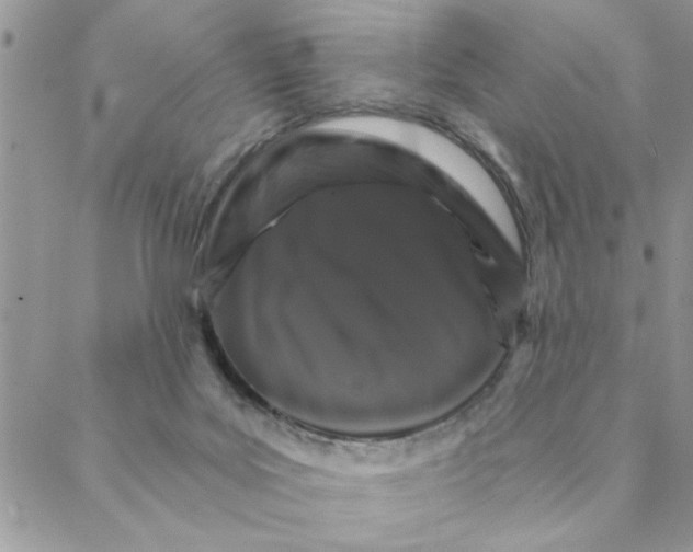 X0000088200027200706121752