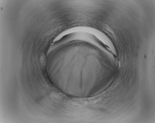 X0000088200029200706121752