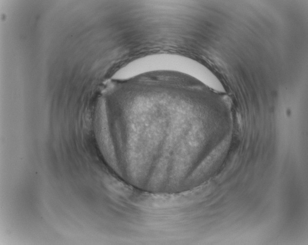 X0000088200037200706121751