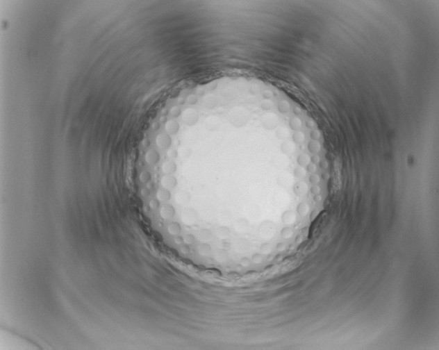 X0000088200043200706121751