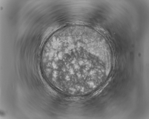 X0000088200049200706121750