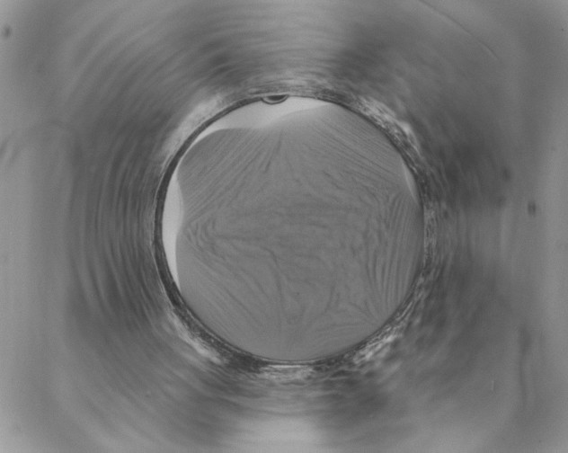 X0000088200051200706121750